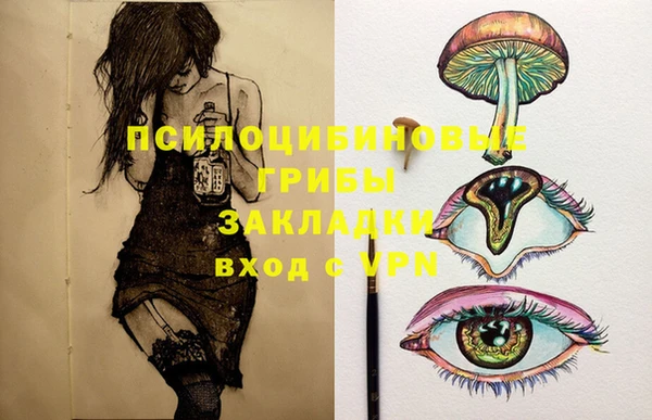 меф Корсаков