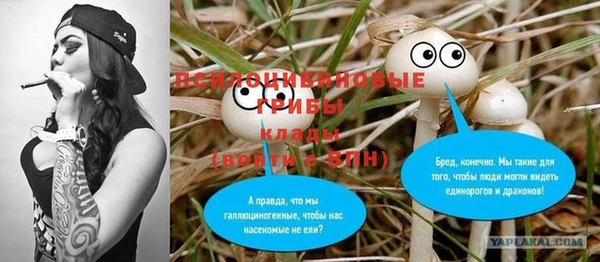 молекула духа Коряжма