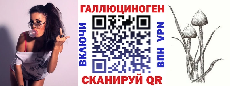 Галлюциногенные грибы Cubensis  Купить  Белый 